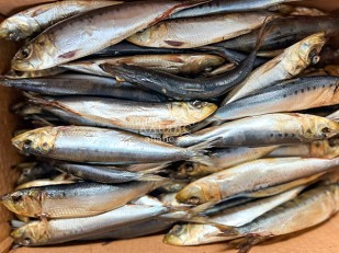 Чипсы: Сельдь Иваси х\к