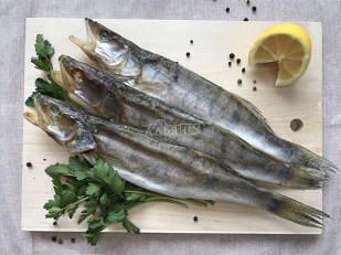 Сиг вяленый: Судак вяленый